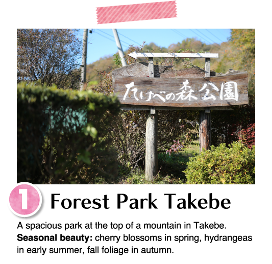 A spacious park at the top of a mountain in Takebe. Seasonal beauty: cherry blossoms in spring, hydrangeas in early summer, fall foliage in autumn.