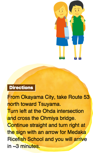 Directions From Okayama City, take Route 53 north toward Tsuyama.Turn left at the Ohda intersection and cross the Ohmiya bridge.Continue straight and turn right at the sign with an arrow for Medaka Ricefish School and you will arrive in ~3 minutes.