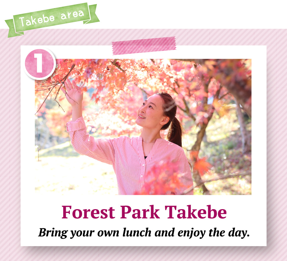 Forest Park Takebe Bring your own lunch and enjoy the day.