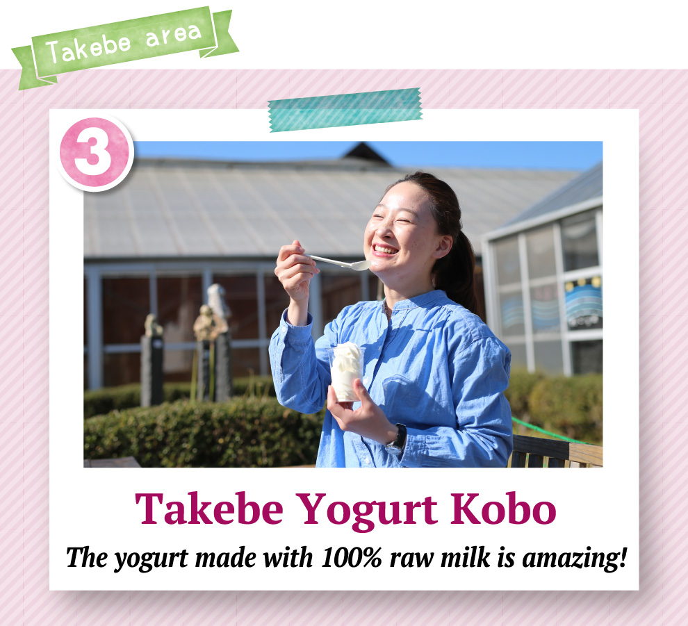 Takebe Yogurt Kobo The yogurt made with 100% raw milk is amazing!