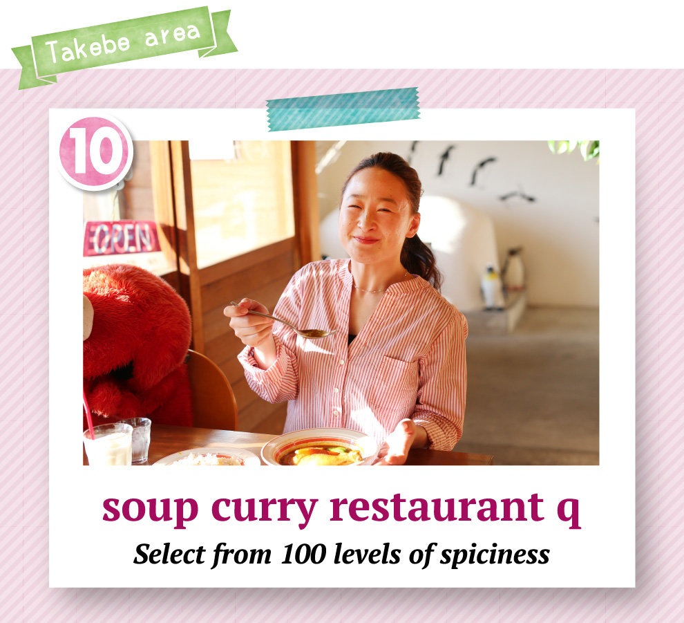 soup curry restaurant q Select from 100 levels of spiciness